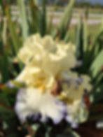 Thumbnail: Spring Bliss