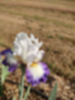 Thumbnail: Beyond Borders