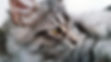 20181002_164237_edited.jpg