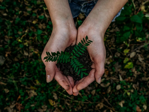 10 Must-Read Books to Celebrate Earth Day and Inspire Environmental Action