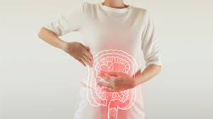 Troubles digestifs et inflammation de bas grade liés à la ménopause et prise de poids