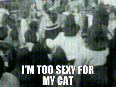 rightsaidfredsexycatlol.gif