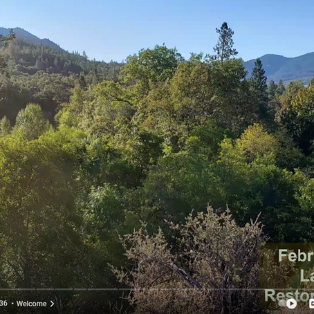 Release and Recruit: Recovering the Resiliency of Native Streamside (Riparian) Forests 