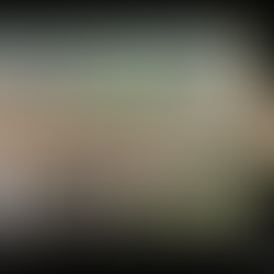 Dead Wood & Healthy Habitats