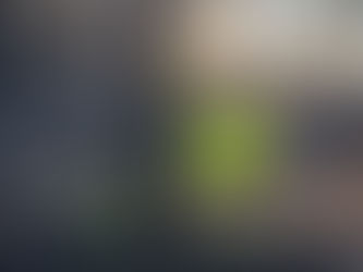 Post-Fire Bear Creek Greenway Restoration