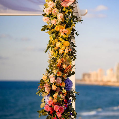 WhatsApp Image 2023-03-09 at 11.58.59 PM.jpeg