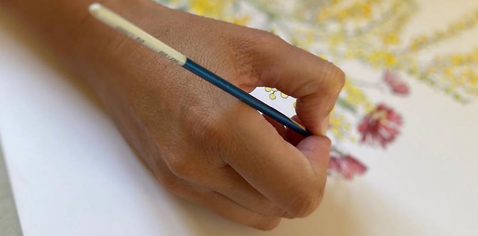 Dessiner une fragrance