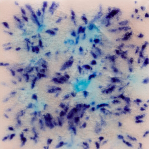 Jungle Gems Northern Lights S-2702 Pint