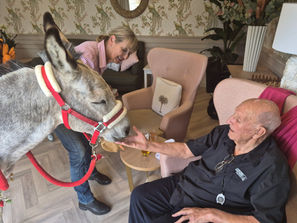 Dementia Care Donkey