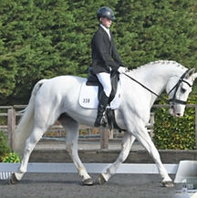 Harry Chadwick Equestrian