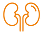 Kidney Icon