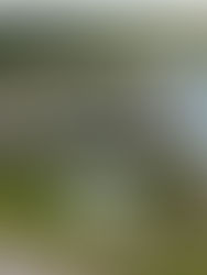 WHY HIRE A DRONE PILOT FOR SPECIAL EVENTS