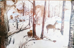 winterland deer
