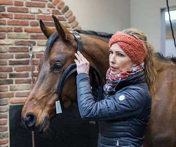 Ontwerp zonder titel (95).png