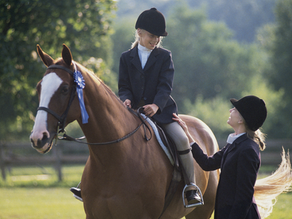 Wordt de Nederlandse paardensport een elitesport?