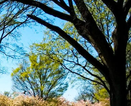 If This Was a Meeting… I’d Stay