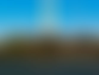 STAND TALL. SAY LESS.