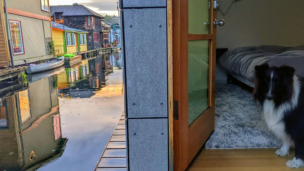 Stafford canal with Watson.jpg