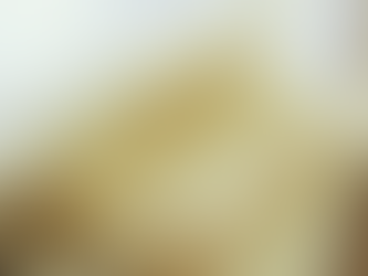 צעד קדימה, שניים אחורה