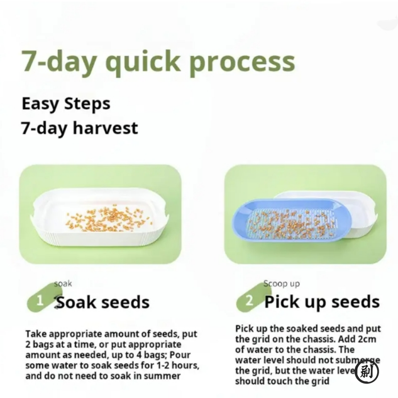 Miniatura: Hydroponic Cat Grass Box Cat Treats Catnip Hydroponic Soilless Planting Cat Gras
