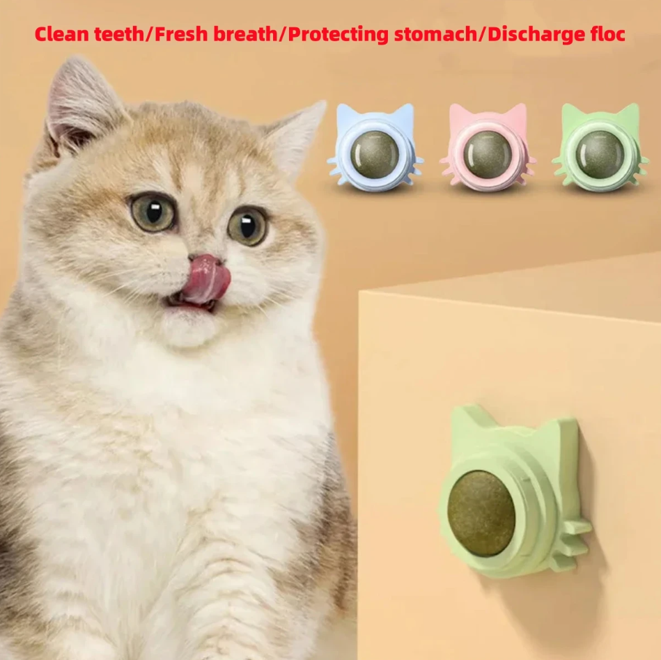 Catnip Toys for Cats Indoor Interactive Wall Spin Ball Natural Mint Enhances Dig