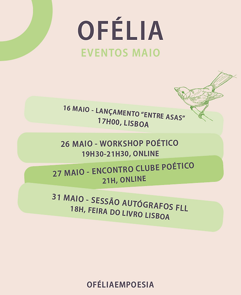 Captura de ecrã 2026-04-28, às 20.45.26.png