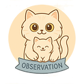 icone-chaton-observation.png