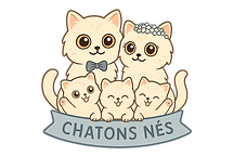 Icône statut chatons nés – portée British Shorthair née à la chatterie Sweet Cat's