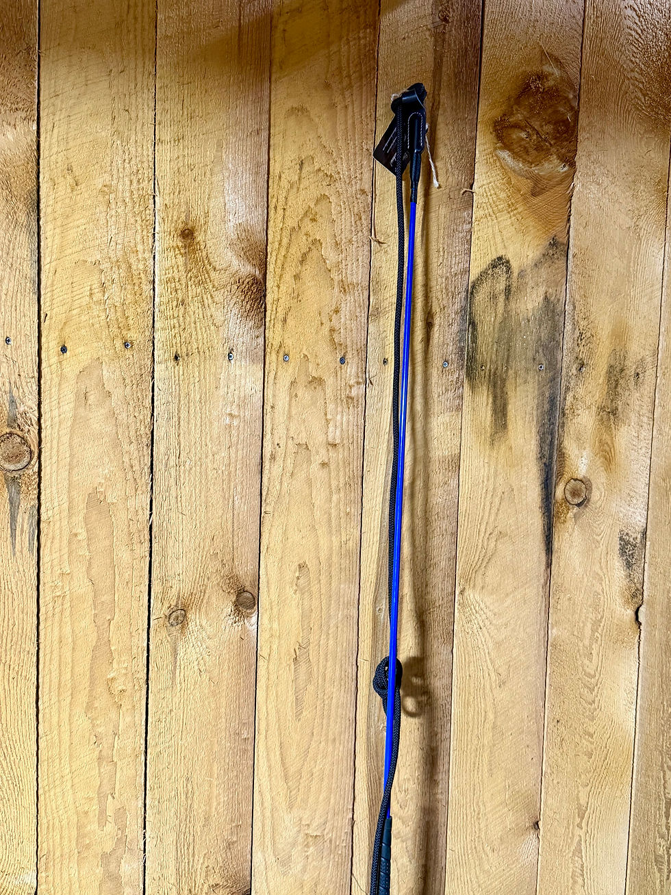 Thumbnail: Standard Stick and String