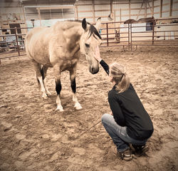 IMG_7886_edited_edited_edited