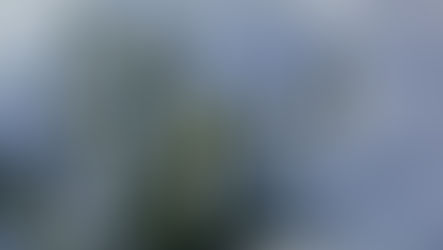 Help businesses understand why early planning leads to better results, smoother timelines, and fewer surprises once spring arrives.