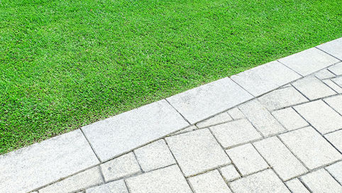 Homeowners and DIY landscapers looking for quick, impactful backyard improvements.