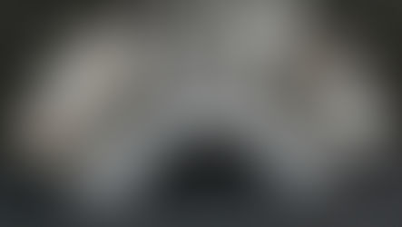 Position premium landscape materials as a strategic commercial decision and encourage early-season material orders