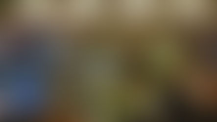 Inspire business owners to enhance winter curb appeal using Adams’ materials .