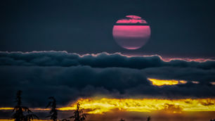 I Was In Bed All Night With The Moon & Other Poems