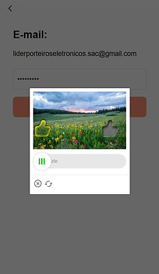 Passo 4 CAPTCHA de Deslizamento.jpg