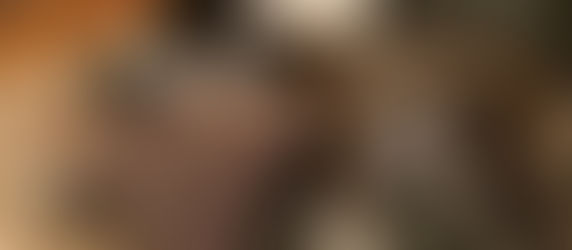 Sara's European Adventure