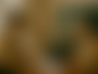 Un couple dans un appartement parisien échange en visioconférence avec un conseiller Maison Montaigne. Sur l’écran, le conseiller présente les plans 3D d’une villa à Marrakech, avec le logo doré “Maison Montaigne” affiché en arrière-plan. L’ambiance est élégante, professionnelle et chaleureuse.