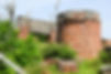 DSC_0421.JPG