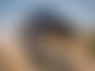 THREE PRODRIVE HUNTERS ACROSS THE LINE IN MEXICO