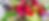 IMG_1382111.png