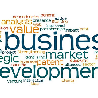Bobby Bach - Sisu Strategic Solutions