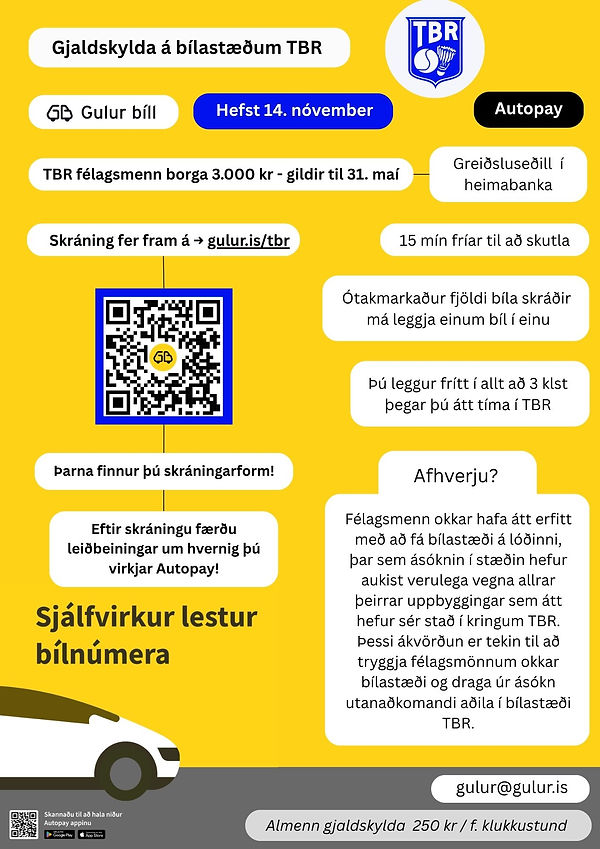 TBR & Gulur bíll (210 x 297 mm).jpg