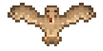 Signe astrologique : Aigle
