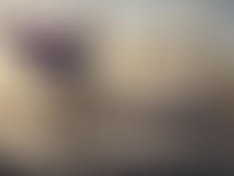 Franz Kalla - Il Re d’Italia?