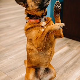 Downtown Duncan Rooftop_edited_edited_ed