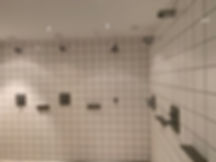 IMG_7895.jpeg