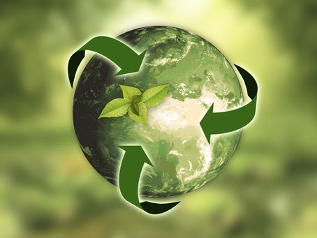 DIW discussed on Circular Economy concept with METI, Japan