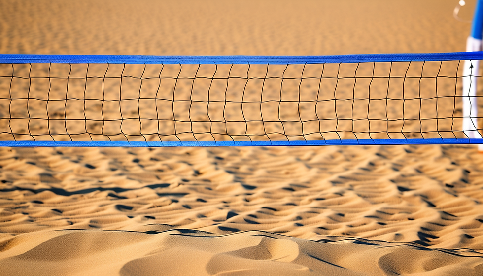 Workshop de Voleibol Olímpico