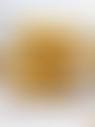 Mango Bars (No Bake)